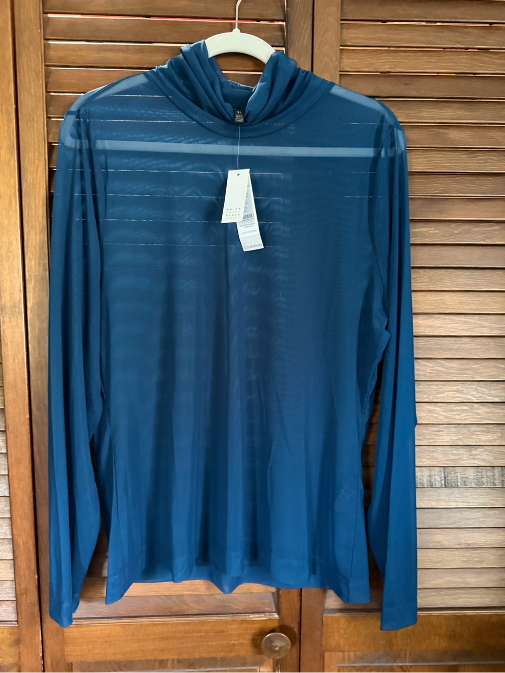 White House Black Market Teal Sheer Long Sleeve Top
